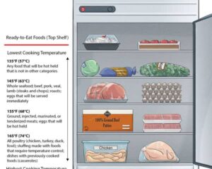 Food Storage Guidelines For Fridge Freezers