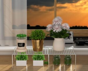 iPEGTOP Freezer Cabinet Storage Shelf Review