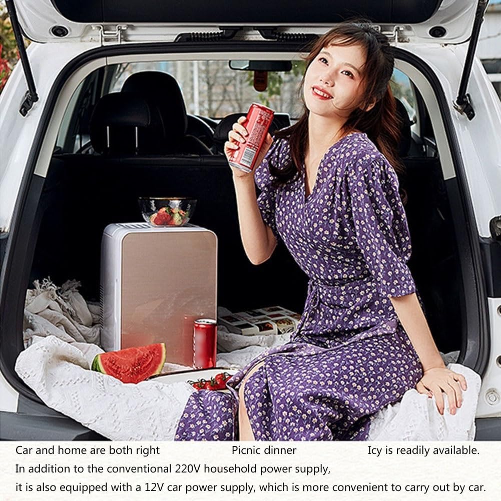 hxoity 12L Mini Fridge For Skincare Food Heater Beverage Cooler Table Top Refrigerator Portable Electric Reefer Coolbox For Skincare  Cosmetics, Wines And Beverages AC+DC Power Compatibility(Silver)
