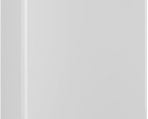 Iceking RL111EW Fridge Energy Class E Review