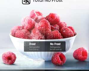 Hisense RB390N4WWE Fridge Freezer review