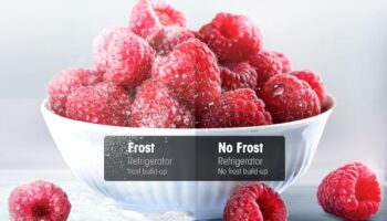 Hisense RB390N4WWE Fridge Freezer review