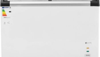 Royal Catering RCFZ-198G Freezer 273 L review